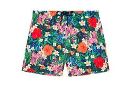 HOM HOM Peacock Beach Boxer