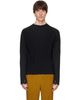 HOMME PLISSÉ ISSEY MIYAKE HOMME PLISSÉ ISSEY MIYAKE Black Monthly Colors October Top - 1
