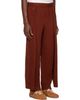 HOMME PLISSÉ ISSEY MIYAKE HOMME PLISSÉ ISSEY MIYAKE Brown Motion Blur Trousers - 2
