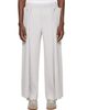 HOMME PLISSÉ ISSEY MIYAKE HOMME PLISSÉ ISSEY MIYAKE Gray Motion Blur Trousers - 1