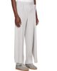 HOMME PLISSÉ ISSEY MIYAKE HOMME PLISSÉ ISSEY MIYAKE Gray Motion Blur Trousers - 2