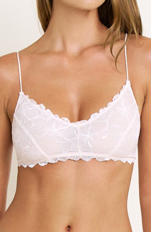 Honeydew Honeydew Jessa Lace Bralette