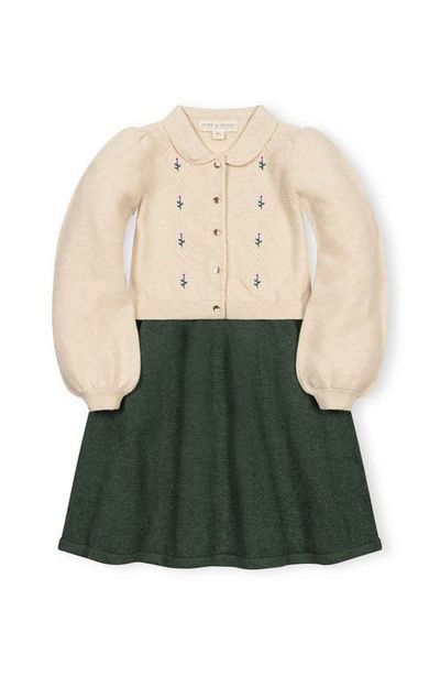 Hope & Henry Hope & Henry Kids' Organic Button Front Collared Sweater Dress