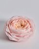 House of Shokunin Romantic Antique Candle - 2