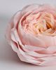 House of Shokunin Romantic Antique Candle - 3
