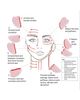 Humanist Beauty Humanist Beauty Gua Sha Tool - 5