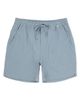 Hurley Hurley Volley Solid Cotton Drawstring Shorts - 4