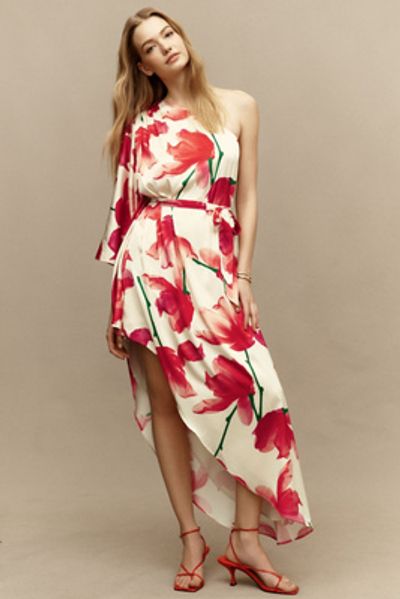 Hutch Adina Midi Dress
