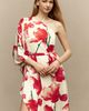 Hutch Adina Midi Dress - 4
