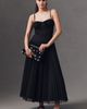 Hutch Amara Corset Pleated Tulle Drop-Waist Fit & Flare Midi Dress - 1