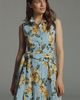 Hutch Biltmore Mini Dress - 1