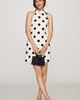 Hutch Polka Dot A-Line Dress - 4