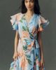 Hutch Rhetta Wrap Dress - 3