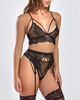 iCollection iCollection Romantic Lace Mesh Chemise Set - 3