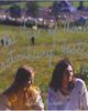 IDEA IDEA In the Vale of Avalon: Glastonbury Festival 1971 — 1st Edition - 1