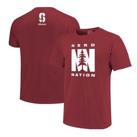 IMAGE ONE IMAGE ONE Men's Cardinal Stanford Cardinal Alumni Nerd Nation Comfort Color T-Shirt 