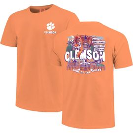 IMAGE ONE IMAGE ONE Youth Orange Clemson Tigers Comfort Colors Hyperlocal Campus Scene T-Shirt 