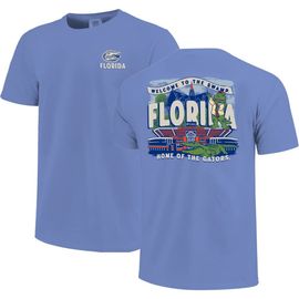 IMAGE ONE IMAGE ONE Youth Royal Florida Gators Comfort Colors Hyperlocal Campus Scene T-Shirt 