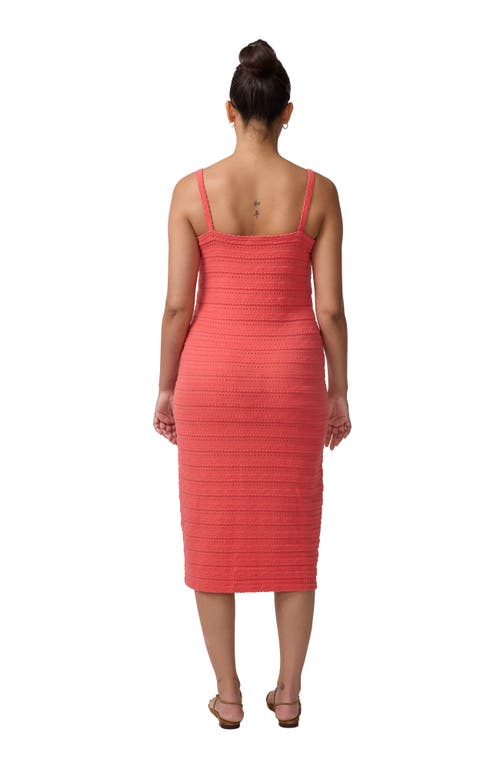 isabel knit slip dress Ingrid & Isabel® Nine britton