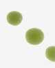 Intelligent Nutrients Intelligent Nutrients Liquid Green® Face Oil - 3