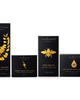 Intoxicated Cosmetics Intoxicated Cosmetics Complete Bee Set (Bee Serum, Antidote Moisturizer, Clean Queen, Power Wash Peel Pads) | Anti-Aging Skincare Serum with Purified - 2
