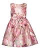 Iris & Ivy Iris & Ivy Kids' Burnout Jacquard Party Dress - 1