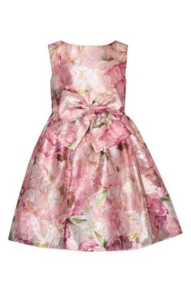Iris & Ivy Iris & Ivy Kids' Burnout Jacquard Party Dress