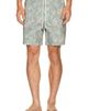 Iron & Resin Iron & Resin Cactus Boardshort - 1