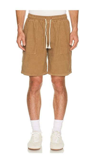 Iron & Resin Iron & Resin Logan Shorts