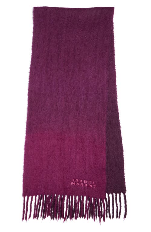 Isabel Marant Isabel Marant Firna Logo Embroidered Fringe Scarf