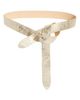 Isabel Marant Isabel Marant Lecce Metallic Belt - 1