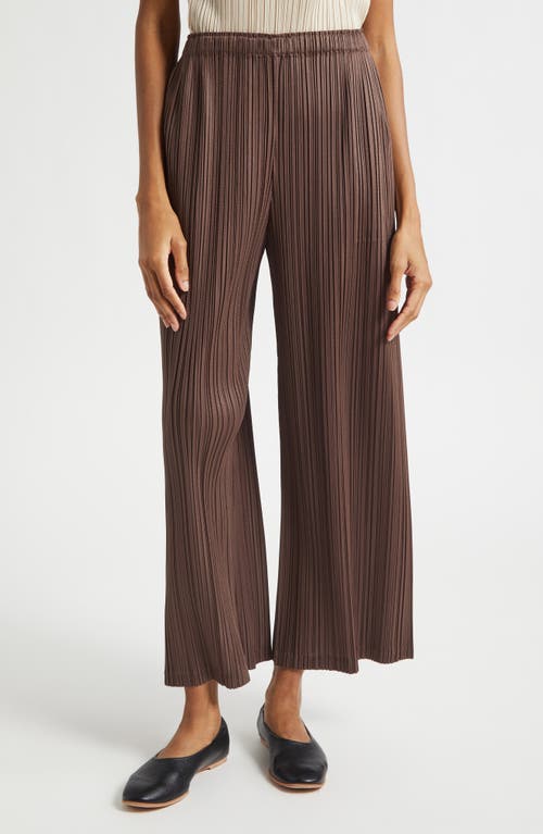Issey Miyake Issey Miyake Loop Pleated Wide Leg Ankle Pants