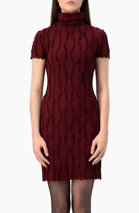 IVONNE IVONNE Ruffle-collar Turtleneck Dress