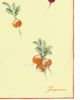 JACQUEMUS JACQUEMUS Le Foulard Radis - 3