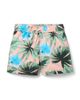 Janie And Jack Janie and Jack Boys' Recycled Palm Swim Trunk - 1