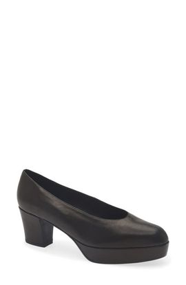 Jeffrey Campbell Jeffrey Campbell Chapters2 Platform Pump