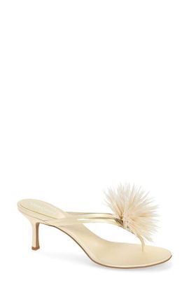 Jeffrey Campbell Jeffrey Campbell Firework Feather Sandal