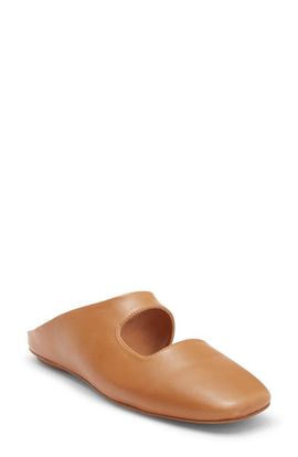 Jeffrey Campbell Jeffrey Campbell Siesta Leather Mule