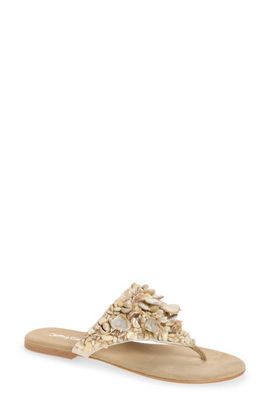 Jeffrey Campbell Jeffrey Campbell Tidal Wave Shell Embellished Thong Sandal