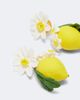 Jennifer Behr Jennifer Behr Limoncello drop earrings - 4
