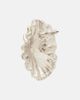Jennifer Behr Jennifer Behr Limpet earrings - 5