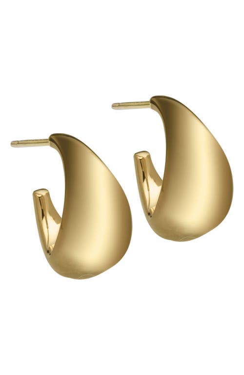 Jennifer Zeuner Jennifer Zeuner Shira Hoop Earrings