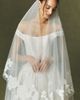 Jenny Yoo Flynn Veil - 3