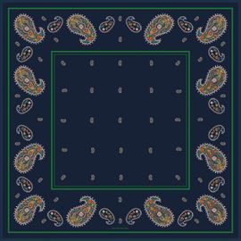 Jessie Zhao New York Jessie Zhao New York Paisley Nocturne Double Sided Silk Scarf