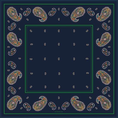 Jessie Zhao New York Jessie Zhao New York Paisley Nocturne Double Sided Silk Scarf