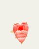 JIA JIA 14K Rhodochrosite Heart Ring - 2