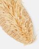 Jil Sander Jil Sander Fringed raffia mules - 5