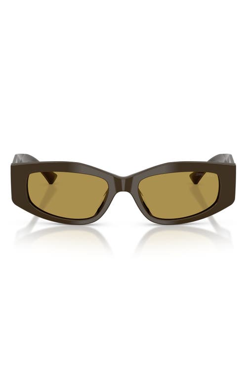 Jimmy Choo Jimmy Choo 53mm Irregular Sunglasses