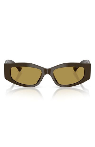 Jimmy Choo Jimmy Choo 53mm Irregular Sunglasses