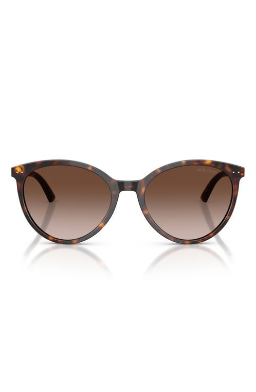 Jimmy Choo Jimmy Choo 53mm Phantos Sunglasses